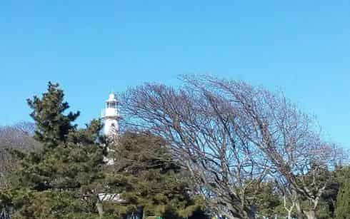 青岛市歌舞剧院
